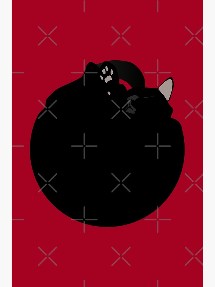 NDVH Black Cat Circle by nikhorne