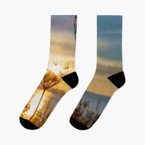 Item preview, Queen Anne's Lace Sunrise designed and sold by ShootFirstNYC.