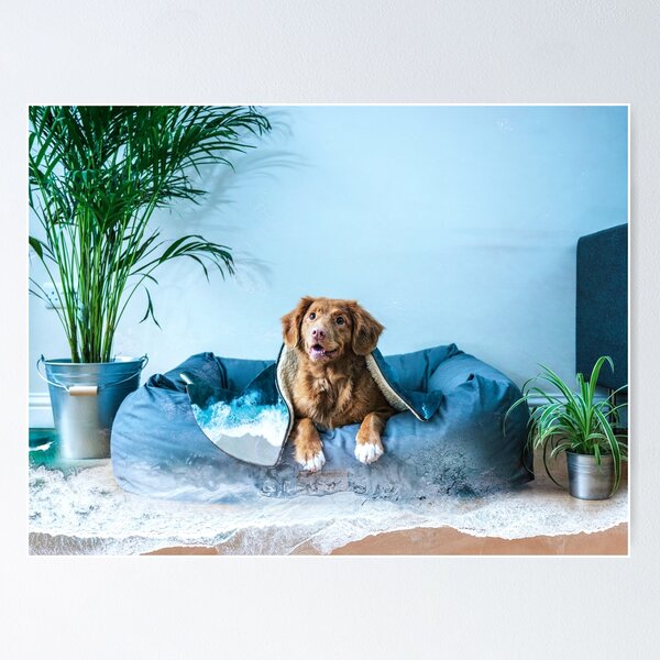 Item preview, Good Ocean Dog designed and sold by Dee-Tea.