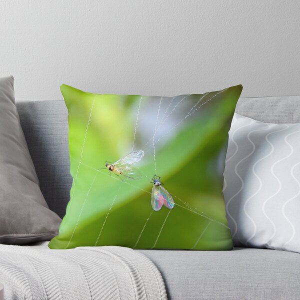 Item preview, A Spider's Fly Larder designed and sold by AnnDixon.