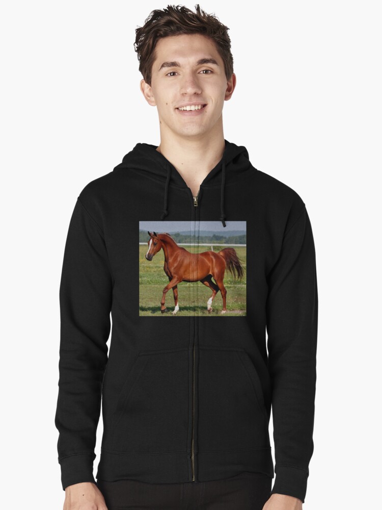 arabian horse hoodie