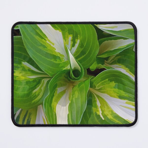 Item preview, Painted Patterns designed and sold by Kathilee.