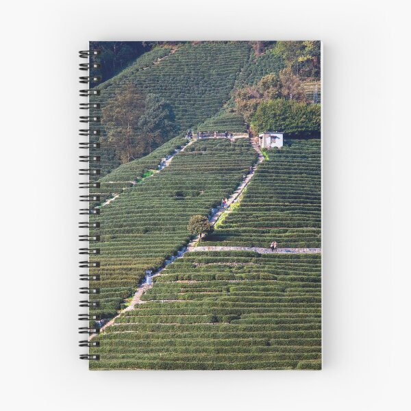 Artikelvorschau, Landschaft der Longjing-Teefelder in China entworfen und verkauft von WorldScenery.