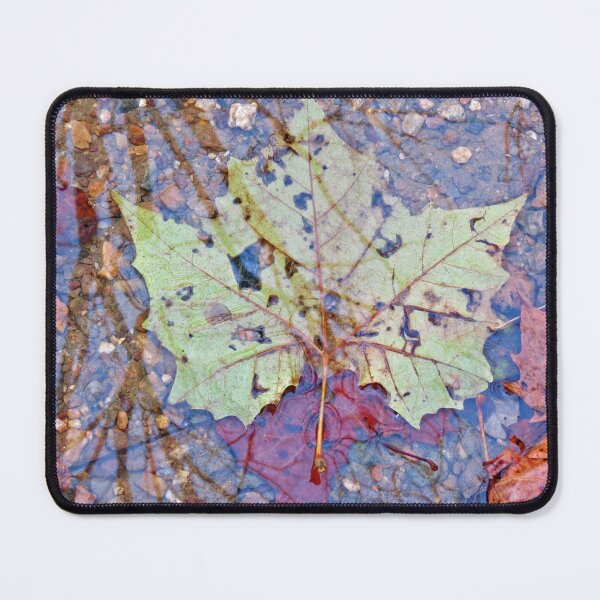Item preview, High Quality Fall Leaf 2021 designed and sold by Nicholas Jager.