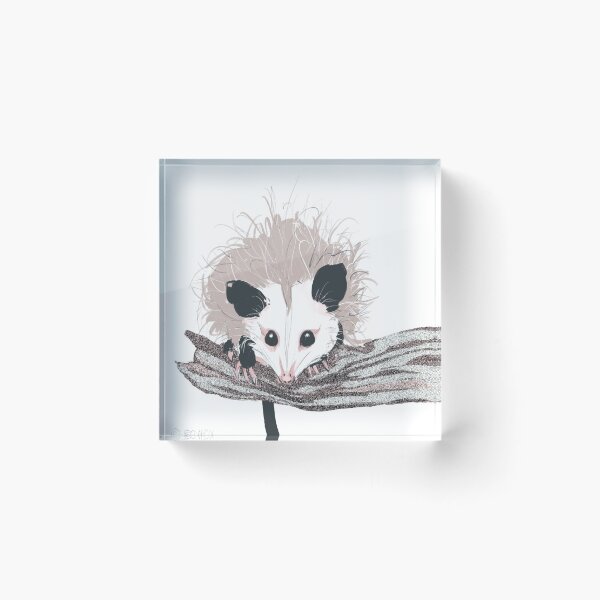 Item preview, Just an Opossum designed and sold by MercurialFox.