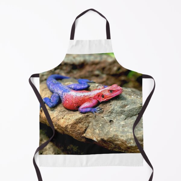 Item preview, Agama Lizard designed and sold by DocSaunders.