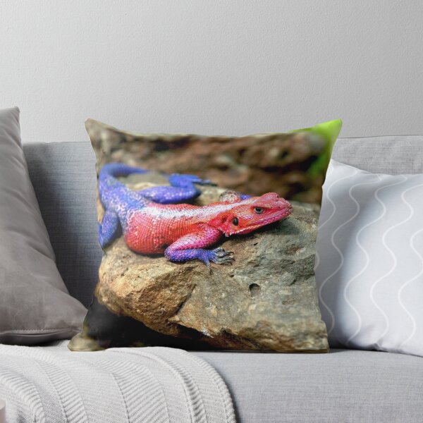 Item preview, Agama Lizard  designed and sold by DocSaunders.