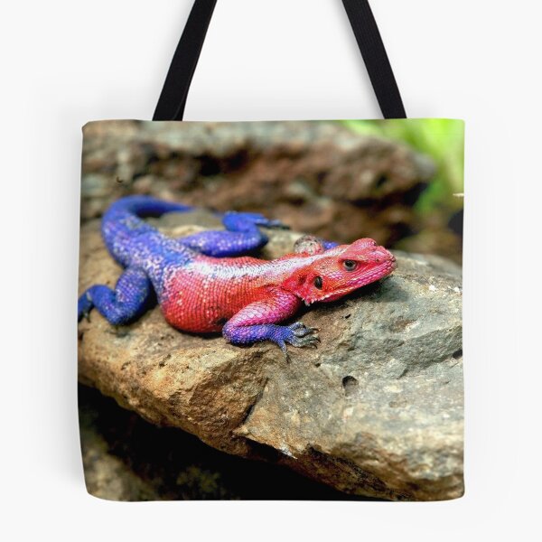 Item preview, Agama Lizard  designed and sold by DocSaunders.