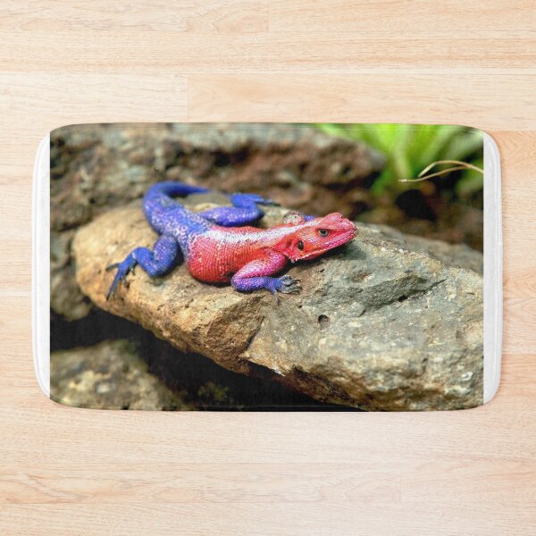 Item preview, Agama Lizard  designed and sold by DocSaunders.