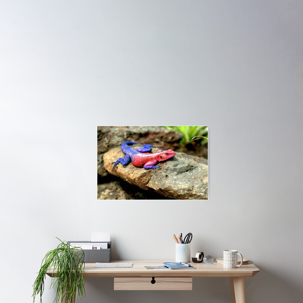 Item preview, Poster designed and sold by DocSaunders.