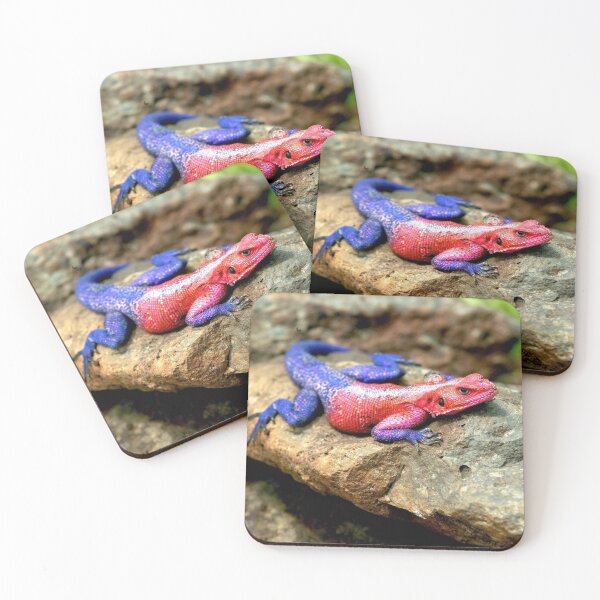 Item preview, Agama Lizard  designed and sold by DocSaunders.