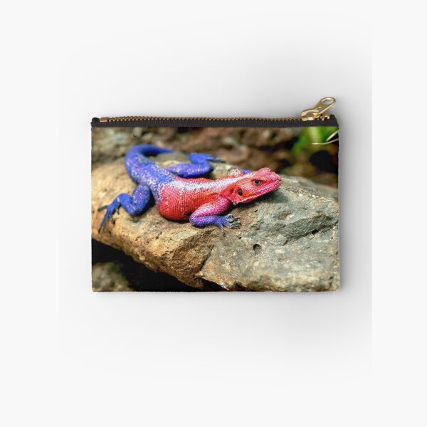 Item preview, Agama Lizard  designed and sold by DocSaunders.