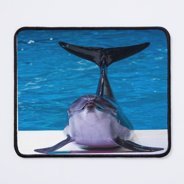 Item preview, Winter the dolphin  designed and sold by Designhub14.
