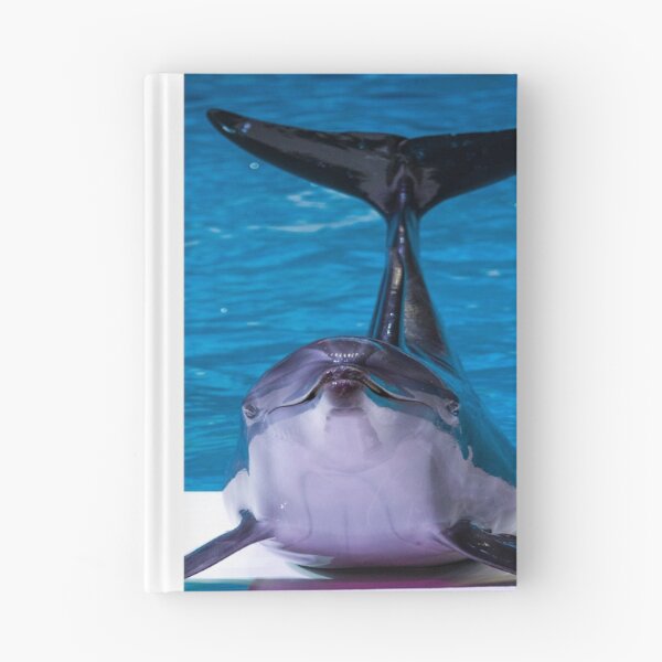 Item preview, Winter the dolphin  designed and sold by Designhub14.