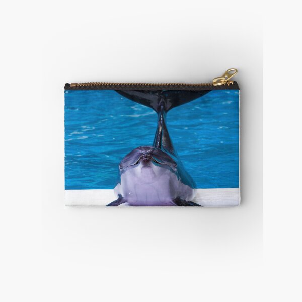 Item preview, Winter the dolphin  designed and sold by Designhub14.