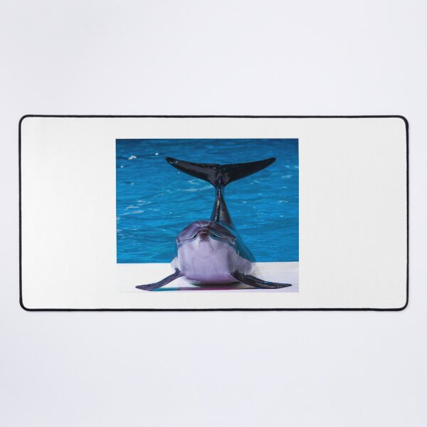 Item preview, Winter the dolphin designed and sold by Designhub14.