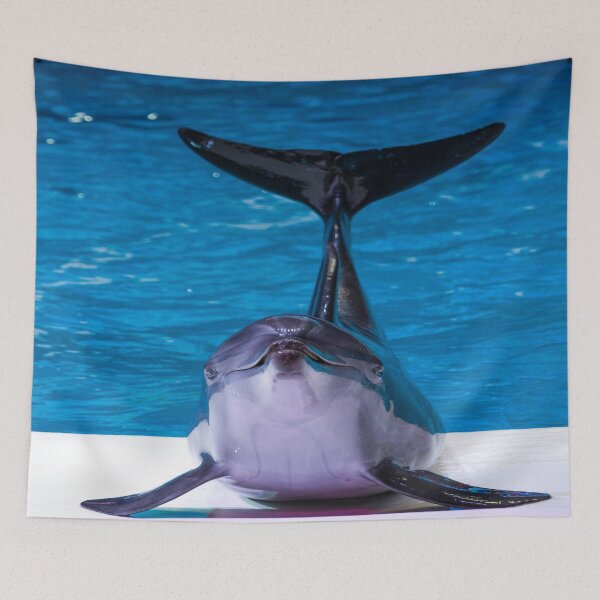 Item preview, Winter the dolphin  designed and sold by Designhub14.