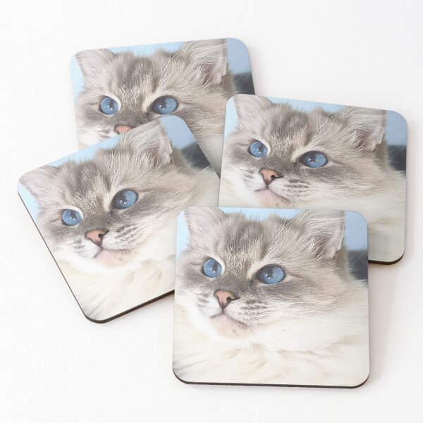 Item preview, Saoirse the ragdoll cat designed and sold by Fluffycat2020.
