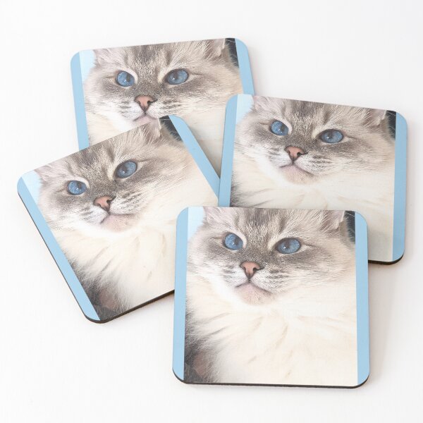 Item preview, Saoirse the ragdoll cat designed and sold by Fluffycat2020.