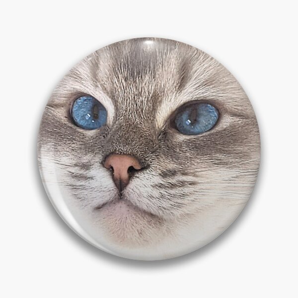 Item preview, Saoirse the ragdoll cat designed and sold by Fluffycat2020.