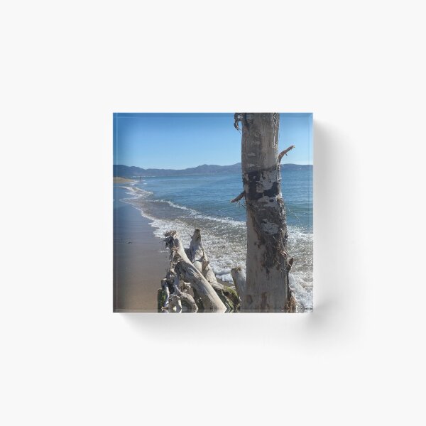 Item preview, Driftwood and tree on the Costa Brava beach designed and sold by margalie1.