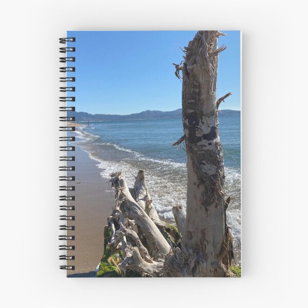 Item preview, Driftwood and tree on the Costa Brava beach designed and sold by margalie1.
