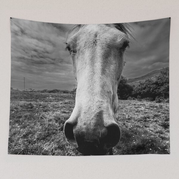 Item preview, A Moody Connemara Horse in Black and White designed and sold by Ireland Photography.
