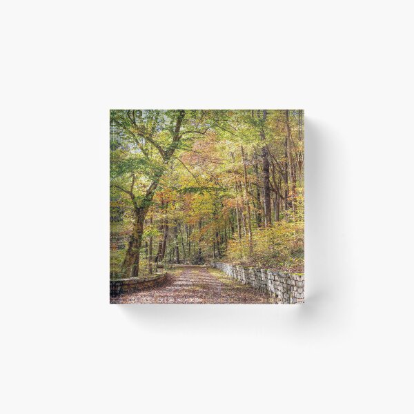 Item preview, Multicolored Forest designed and sold by Eric Glaser.