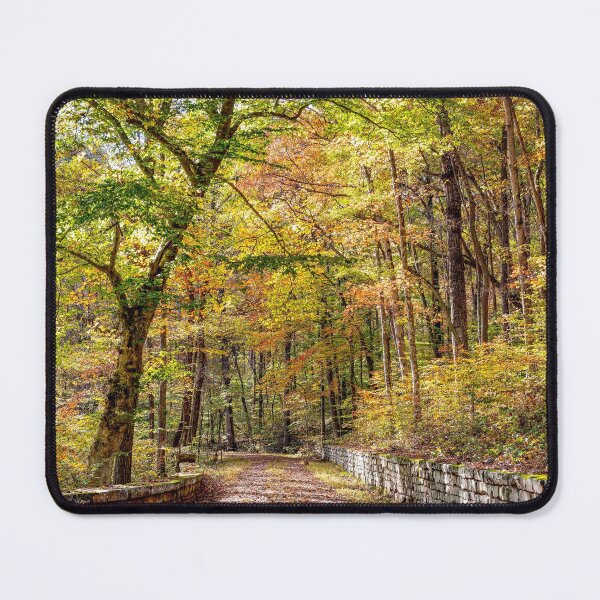 Item preview, Multicolored Forest designed and sold by Eric Glaser.