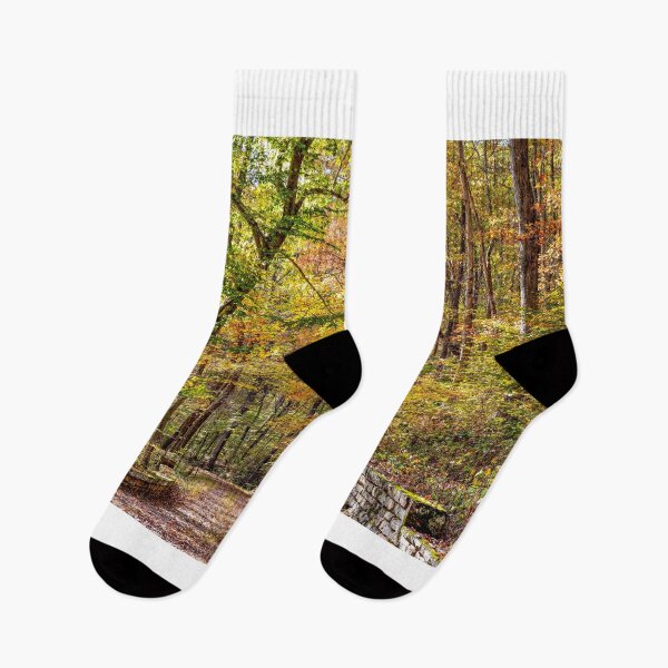 Item preview, Multicolored Forest designed and sold by Eric Glaser.