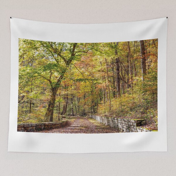Item preview, Multicolored Forest designed and sold by Eric Glaser.