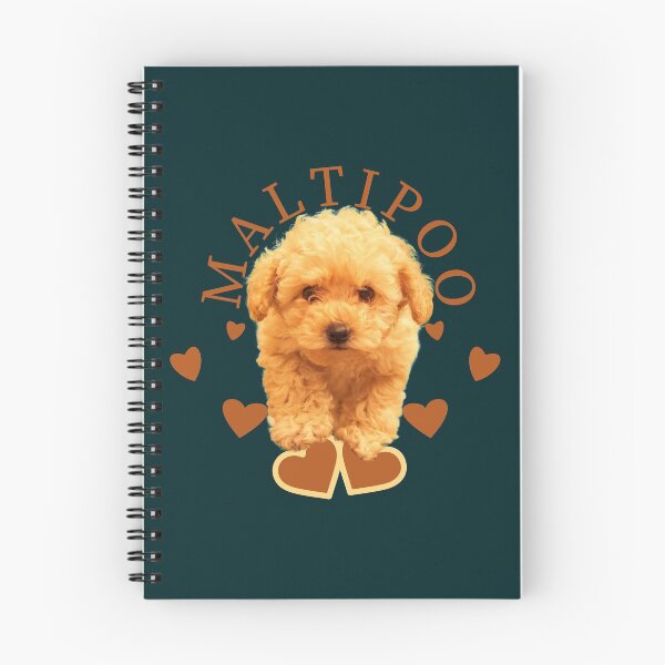Artikelvorschau, Süßer Maltipoo entworfen und verkauft von ramazis.