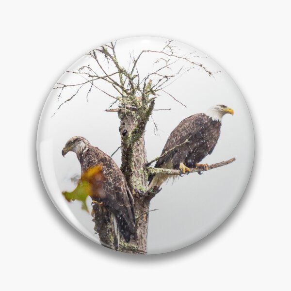 Item preview, The Eagle's Perch designed and sold by ShootFirstNYC.