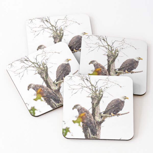 Item preview, The Eagle's Perch designed and sold by ShootFirstNYC.