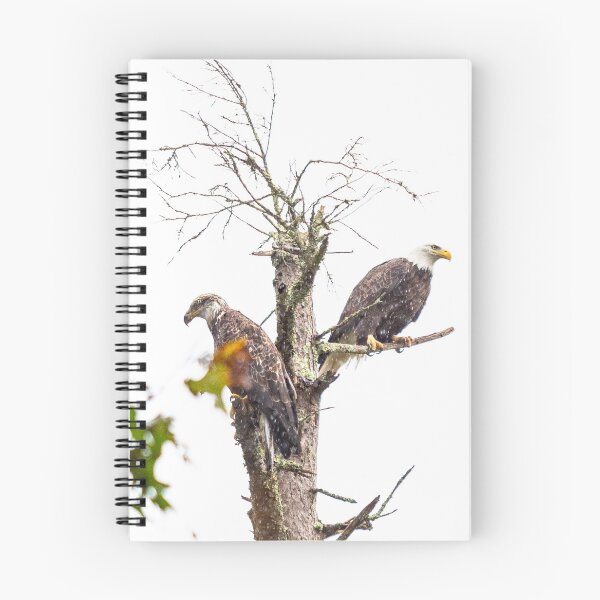 Item preview, The Eagle's Perch designed and sold by ShootFirstNYC.