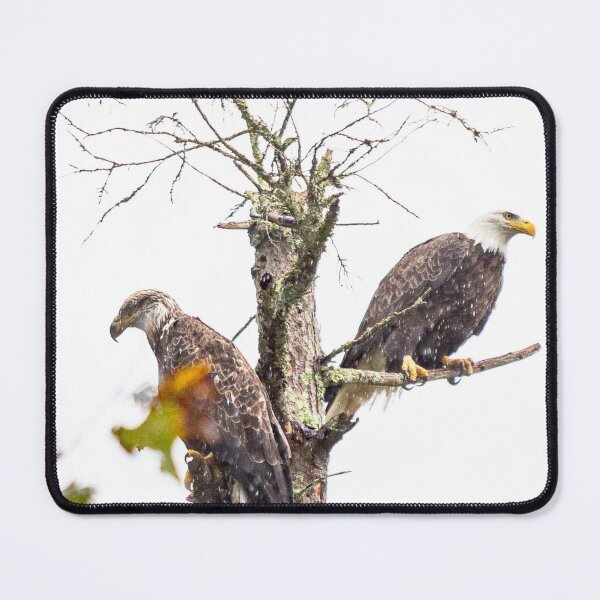 Item preview, The Eagle's Perch designed and sold by ShootFirstNYC.