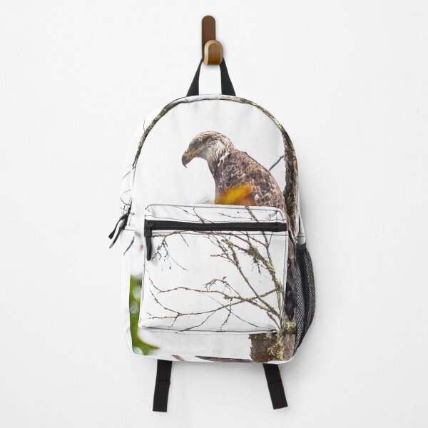Item preview, The Eagle's Perch designed and sold by ShootFirstNYC.