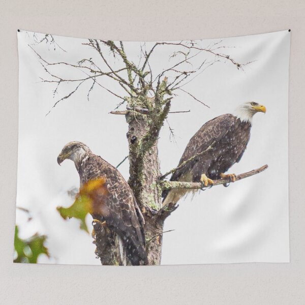 Item preview, The Eagle's Perch designed and sold by ShootFirstNYC.