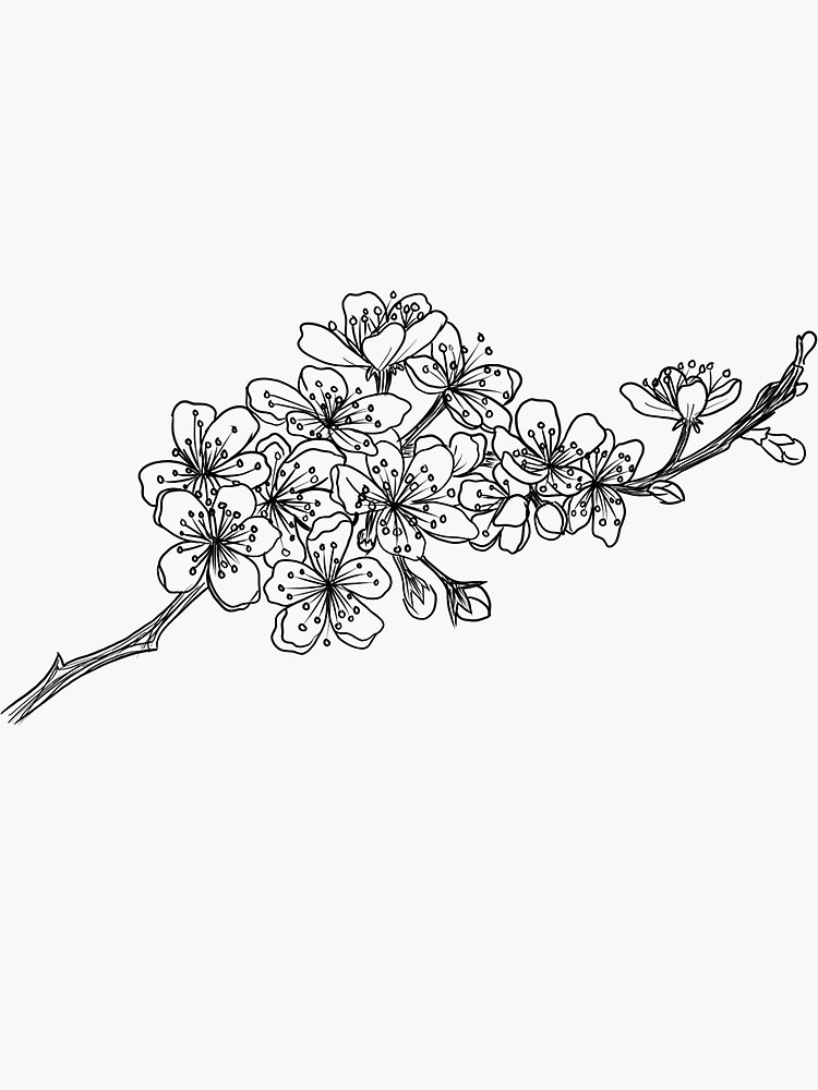 "Cherry blossom branch" Sticker by samlikesfood Redbubble
