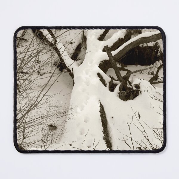 Item preview, Follow the footprints; they beckon designed and sold by Joel Bader.