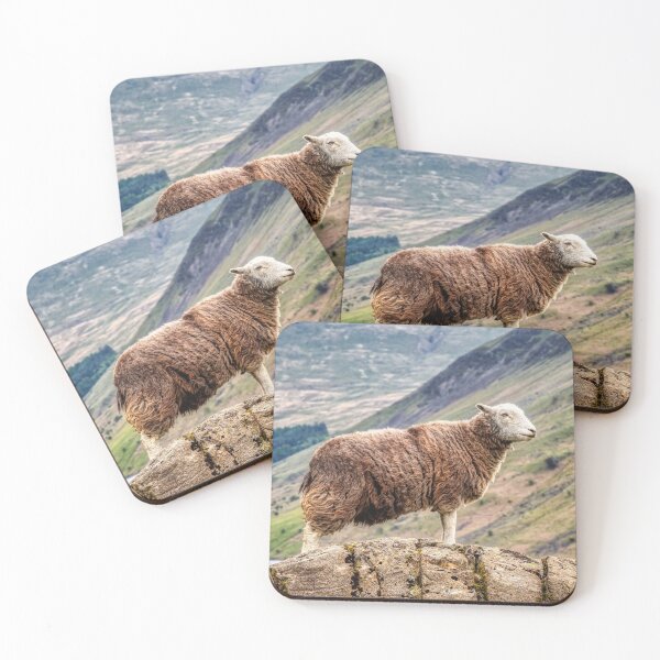 Item preview, Herdwick Sheep designed and sold by derekbeattie.