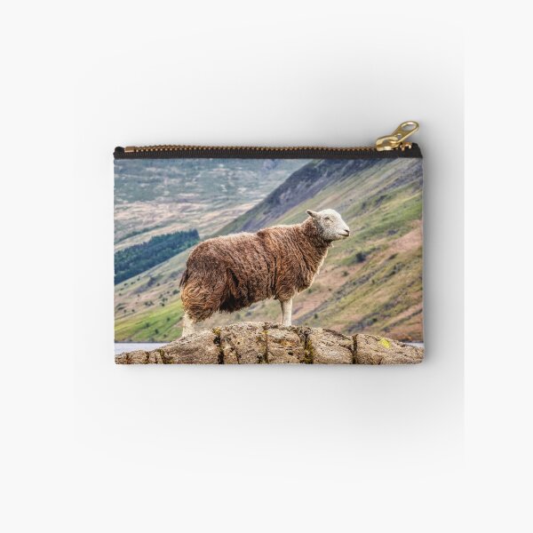 Item preview, Herdwick Sheep designed and sold by derekbeattie.