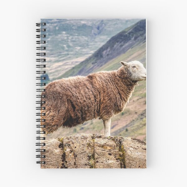 Artikelvorschau, Herdwick Sheep entworfen und verkauft von derekbeattie.