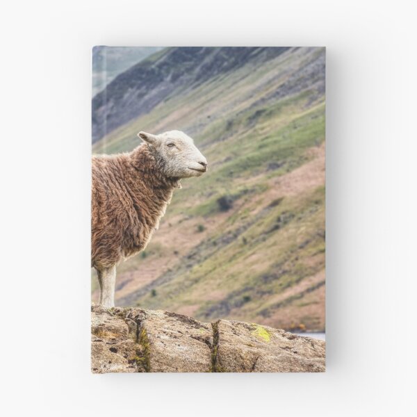 Item preview, Herdwick Sheep designed and sold by derekbeattie.