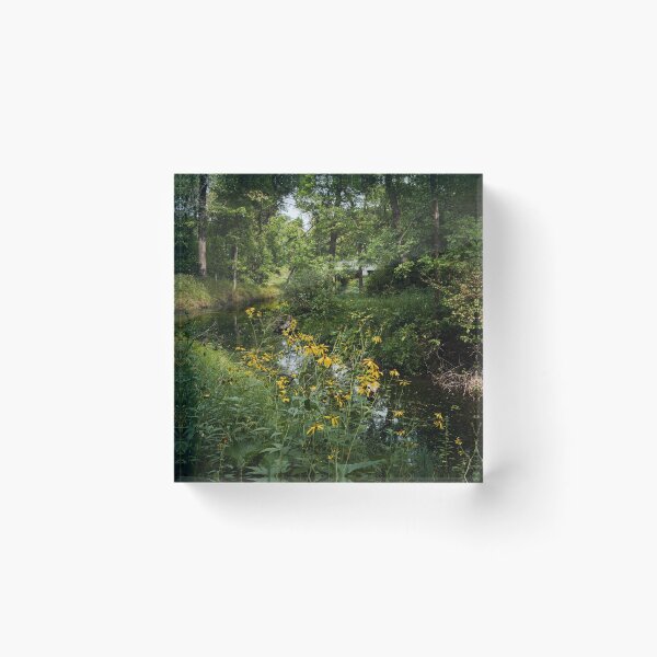 Item preview, Summer By The Stream designed and sold by MSmith-wpg.