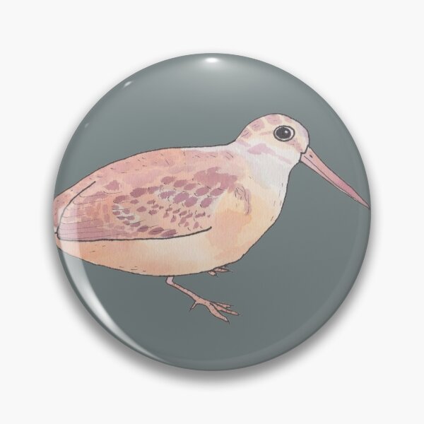 Item preview, American Woodcock bird species watercolor art designed and sold by TheWaterBirds.