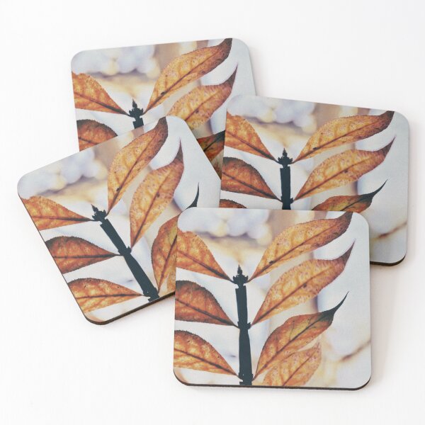 Item preview, Beauty is Where You Look designed and sold by DonnaMariePhoto.