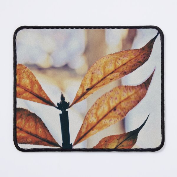 Item preview, Beauty is Where You Look designed and sold by DonnaMariePhoto.