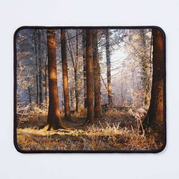 Item preview, Dundrum Woods, Ireland  designed and sold by ollygriffin.