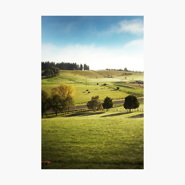 Item preview, Farmland designed and sold by Jesse Rowbotham.